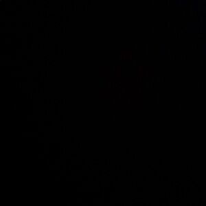 Meet your Posher, Pauletta